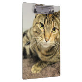 クリップボード (右)