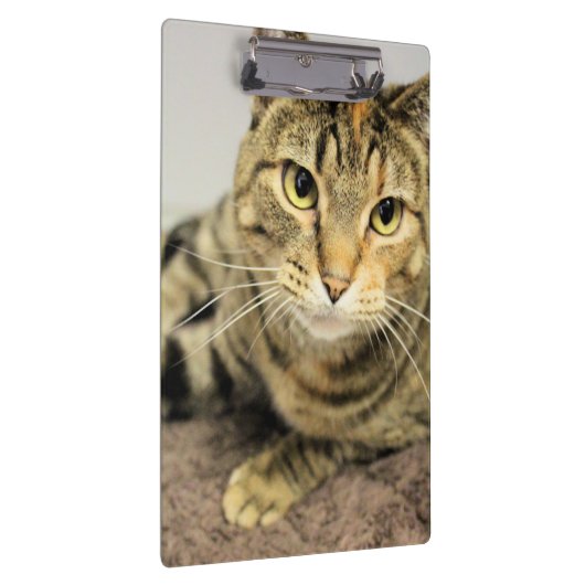 クリップボード (右)