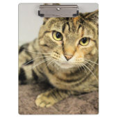 クリップボード (正面)