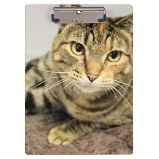 クリップボード (正面)