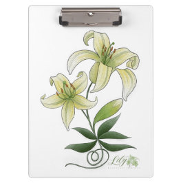 クリップボード