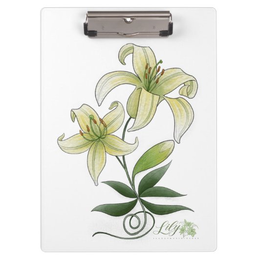 クリップボード (正面)