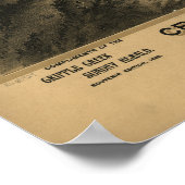 クリップルクリークコロラド1895パノラママップ ポスター (角)