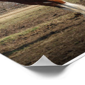 クリデザールスタッドプリント ポスター (角)