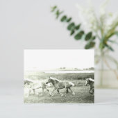 クリデスダレス ポストカード (スタンド正面)