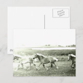 クリデスダレス ポストカード (正面/裏面)