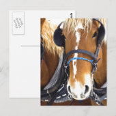 クリデスデ荷車を引くール馬絵はがき ポストカード (正面/裏面)