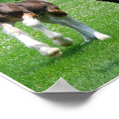 クリデデールとフィリープリント ポスター (角)