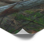 クリデデールウマーズ ポスター (角)