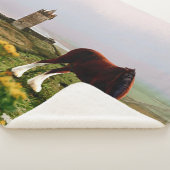 クリデデールキャッスル シェルパブランケット (3/4)