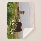 クリデデールキャッスル シェルパブランケット (正面)