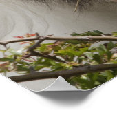 クリデデールホースポートレート ポスター (角)