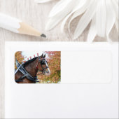 クリデデールホース差出人住所ラベル ラベル (インサイチュ)