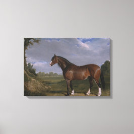 クリデール・スタリオン（サラブレッド・ホース）（動物） キャンバスプリント