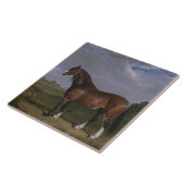 クリデール・スタリオン（サラブレッド・ホース）（動物） タイル (側面)