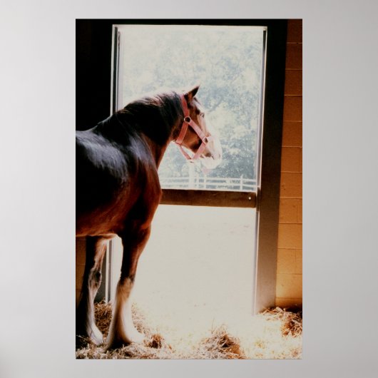 クリデール ポスター (正面)