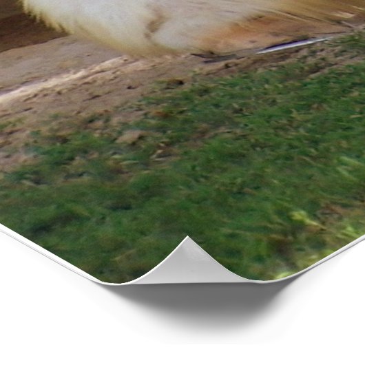 クリデール ポスター (角)