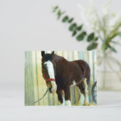 クリデール ポストカード (スタンド正面)