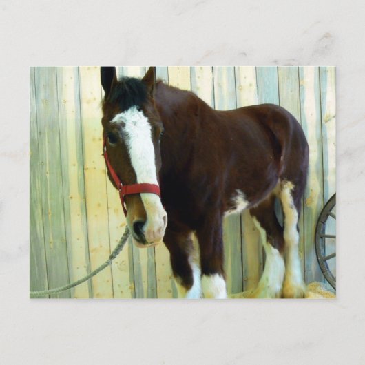 クリデール ポストカード (正面)