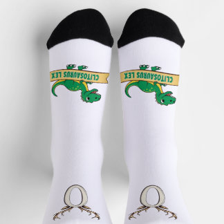 クリトサウルスレックスソックス ソックス