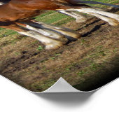 クリドスデールグループプリント ポスター (角)