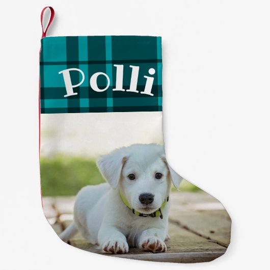 クリパーソナライズされたスマスストッキング名前をカスタムする スモールクリスマスストッキング (正面)