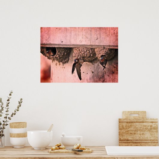 クリフスワローズ ポスター (キッチン)