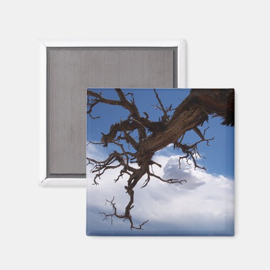 クリフ実在ハーガーマグネット マグネット (正面/裏面)