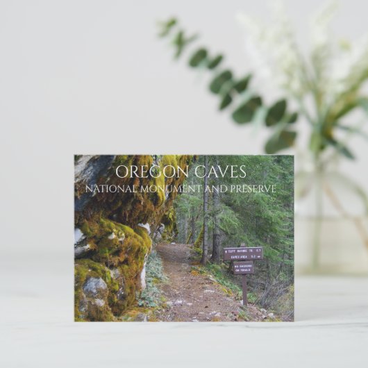 クリフ自然トレイルトレールヘッド、オレゴン州オレゴンの洞窟 ポストカード (スタンド正面)