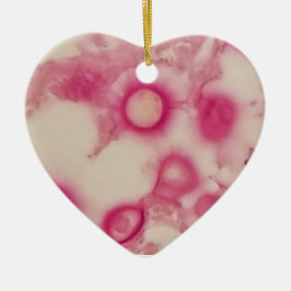 クリプトコッカルオーナメント セラミックオーナメント