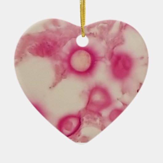 クリプトコッカルオーナメント セラミックオーナメント (正面)