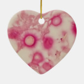 クリプトコッカルオーナメント セラミックオーナメント (裏面)