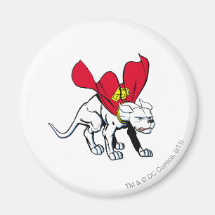 クリプト·グロールズ マグネット