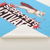 クリプト： – ペッすごいト発動！ シェルパブランケット (3/4)