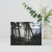 クリペダリトアニア葉書のバルト海岸 ポストカード (スタンド正面)