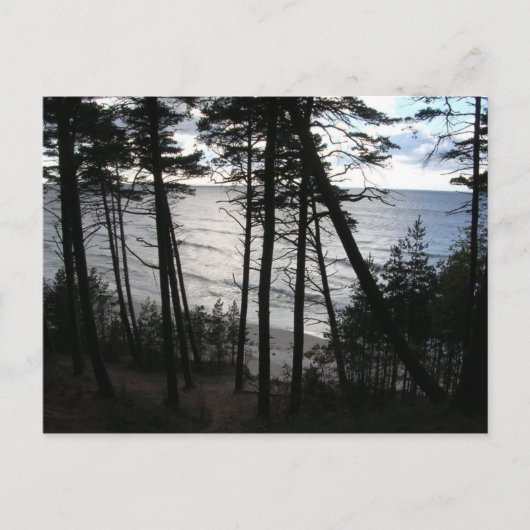 クリペダリトアニア葉書のバルト海岸 ポストカード (正面)