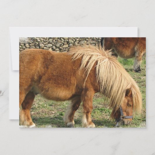 クリホース招待状 招待状 (正面)