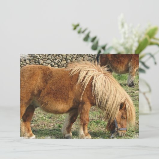 クリホース招待状 招待状 (スタンド正面)