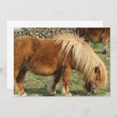 クリホース招待状 招待状 (正面/裏面)