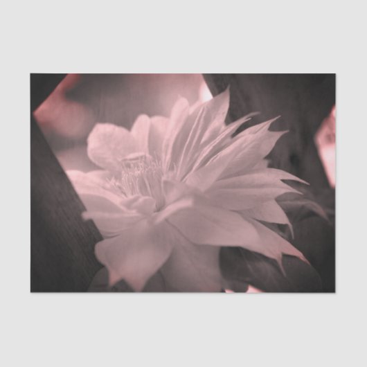 クリマチスフラワーブラック&ホワイトヴィンテージデコップ 薄葉紙 (正面)