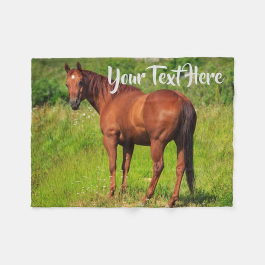 クリマーレホースカスタム フリースブランケット (正面(横))