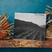 クリミアの円形劇場の石灰石採石場 フォトプラーク (側面)