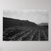 クリミアの円形劇場の石灰石採石場 ポスター (正面)