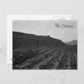 クリミアの円形劇場の石灰石採石場 ポストカード (正面/裏面)