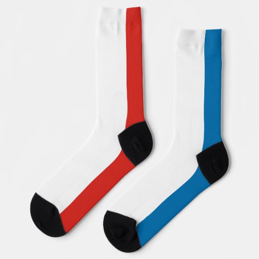 クリミアの旗 ソックス (左)