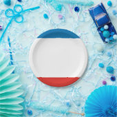 クリミア国旗 ペーパープレート (パーティー)