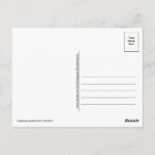 クリミア山脈ウクライナポストカード ポストカード (裏面)