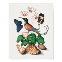 クリムストパズハミングバード