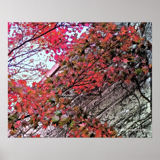 クリムゾンを通して空を見上げるLEAVES/DIG.EFFEC ポスター (正面)