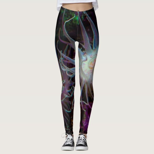 クリムゾンアネモン レギンス (正面)